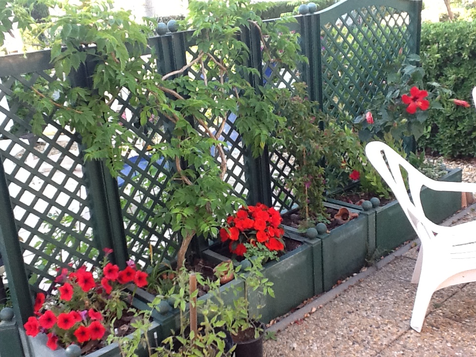 Ipad Marianne 006.JPG